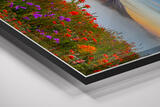 Ultra Lumachrome® HD Trulife® Acrylic Print | Float Mount