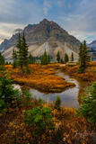 Beautiful picture of    in the Canadian Rockies for sale as a fine art photography  print.