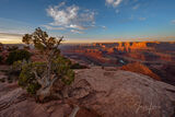 Dead Horse Overlook morning print