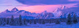 Grand Morning in the Tetons print