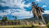 Bucked up | Cowboy riding a bucking horse print