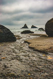 Pacific Path print