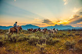 Heading for Sunset | Cowboy herding horses home print