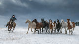 Turning the Herd | cowboy herding horses in snow print