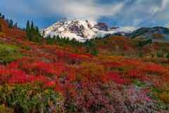Mount Rainier Photos, Washington Photography, Fall Photos, Beautiful Photography