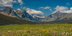Glacier Park Photos, Beautiful Photography, Meadow Photos, Nature Photography