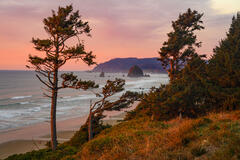 Cannon Beach Park Sunset