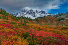 Fall color on Paradise