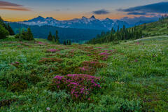 Tatoosh Sunrise