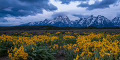 Spring Storm over the Tetons