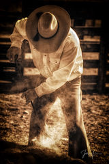 Laying on the iron | Cowboy Branding