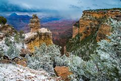 Canyon Snow