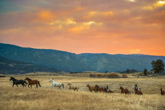 Sunrise Roundup | fine art western print