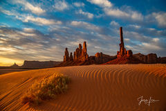 Desert Photography | Photos, Prints and Wall Art Pictures