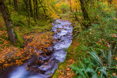 Multnomah Falls Creek Autumn