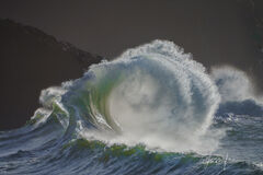 Twisted Wave | Wild Surf