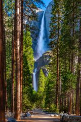 Yosemite Falls | Click For Details