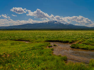 Salmon River Headwaters