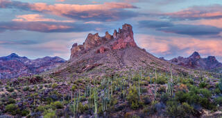 Color Arizona fine art photography print of the Castle rock formation in the Superstition Mountains with green desert vegetation.