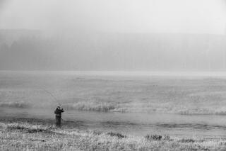 Black and white fly fisher with deeply bent rod on frost-covered Firehole River bank, Yellowstone, mist across meadow — fine art print by Jess Lee