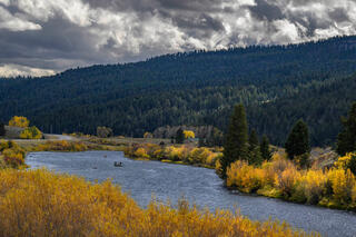 Drift boat nearly hidden in bend of Madison River, Montana, flanked by blazing gold autumn willows under dramatic storm sky — fine art print by Jess Lee