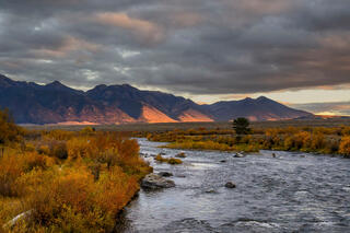Madison River flowing through autumn gold willows toward sunlit Montana mountain range under dramatic storm sky, lone angler in lower right — fine art landscape
