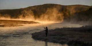 Fly fisher casting at dawn on the Madison River, Yellowstone, golden geothermal mist rising behind silhouetted figure — fine art print by Jess Lee