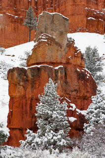The red rocks of Bryce Canyon give a beautiful contrast to the fresh, white snow. 