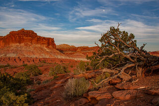 My photographs of Capitol Reef and the area are available for you to purchase as Fine Art Prints or Wall Art for that special place in your home or office.