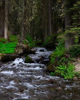 Colorado, photography, print,  photo, mountain, stream,