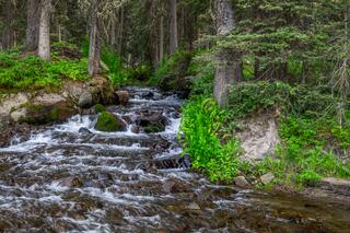 Colorado mountain photography photo print.