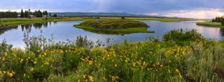 Harriman Spring -Pano