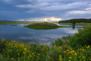 Spring At The Ranch