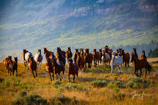 Coming over the Hill