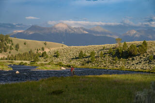 Madison Flyfisher
