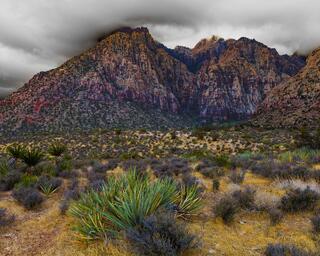 Fine Art Nevada Landscape Photography