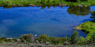 Silver Creek Honey Hole