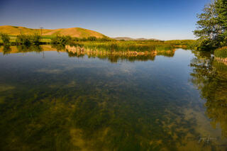 Still Water