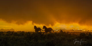 Ahead of the Storm