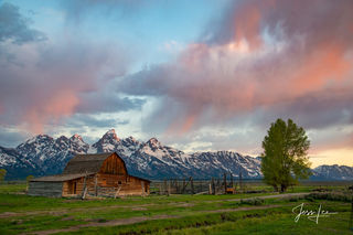 Mormon Row Barn Sunrise