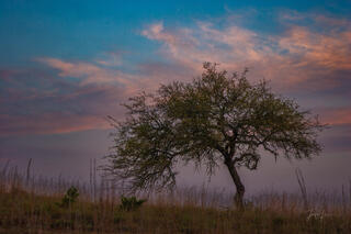 Texas Photo Print