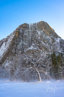 yosemite, storm, morning after, california, photos,  prints,