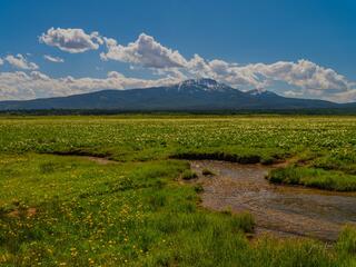 Idaho,