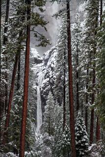 Yosemite Glowing Falls Photograph in Black and White