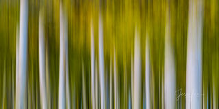 Intimate Landscape and Nature Photos | Luxury Style Imagery