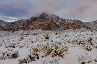Nevada Photography Print