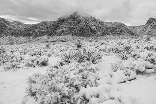 Nevada Photography Print