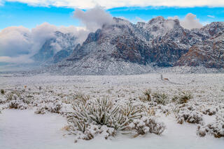 Nevada Photography Print