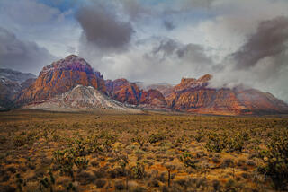 Nevada Photography Print