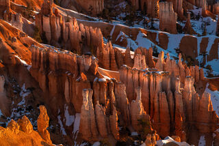Maze of rock formations in Bryce Canyon National Park, Utah. 
